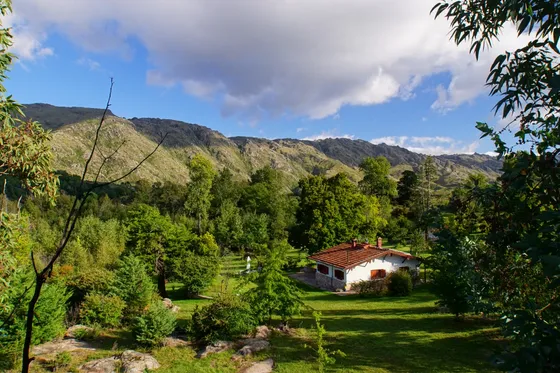 Villa Alpina - Venta De Dos Casas En Gran Lote