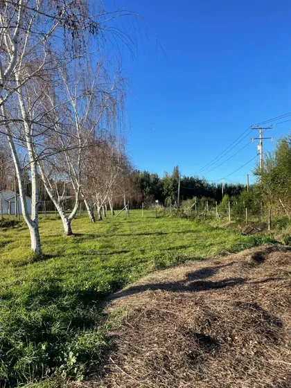 Maravillosa Parcela Camino Antuco, Con Canal De Riego