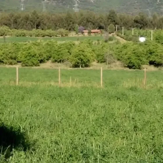 Venta Parcela 5.000 M2 La Parición, Paine / Buin
