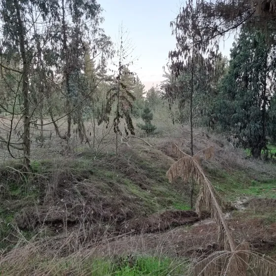 Imperdible Terreno Para Inversión
