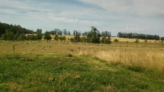 Quinta En Venta En Las Garzas