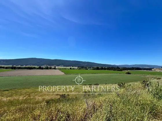 Maravilloso Campo Productivo