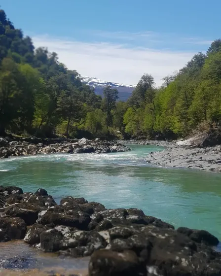 297 Hectáreas En Río Ibáñez Con Subdivisión Sag