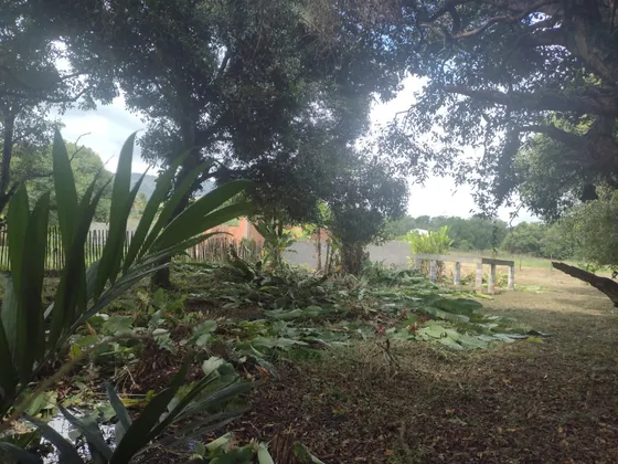 Vendo Este Terreno De 1.000metros Quadrados.