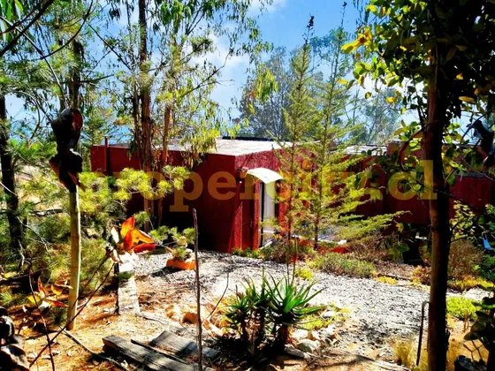 7900 Uf Hermosa Parcela En Pangal Ll (98892)