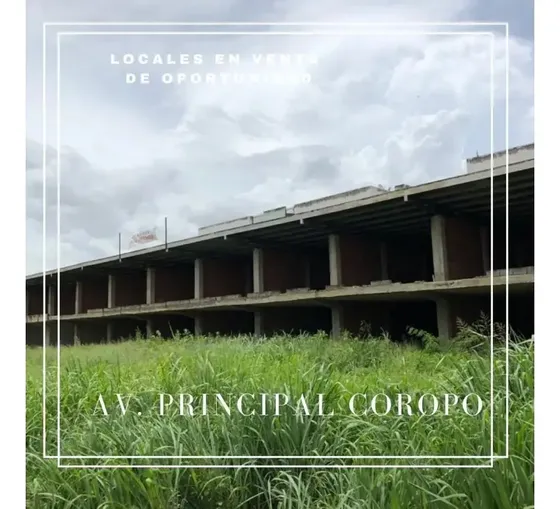 En Venta Locales Comerciales En La Av. Coropo Aragua-maracay