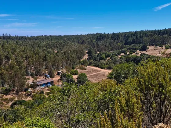 Parcela 2 Hectáreas A Minutos De Quintay Vista Total 360°