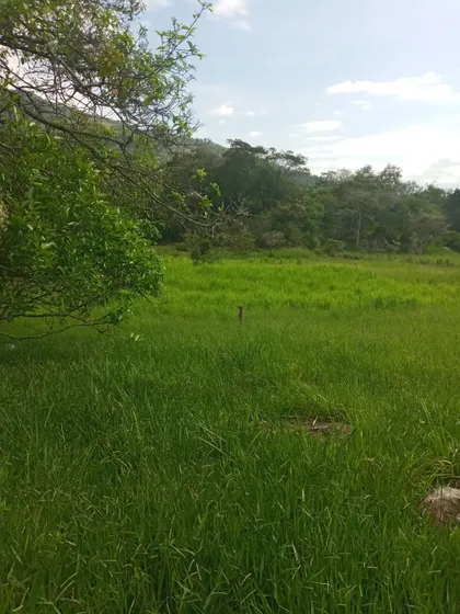Lote De 32.000 Metros Cuadrados  En Cumaca Cundinamarca 