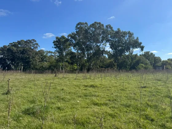 Campo De 30 Hectáreas Con Múltiples Edificaciones Y Uso Mixto