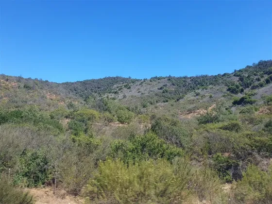 Venta Parcela Camino Lo Orozco Cruce Los Quillayes Quilpué