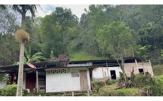 Se Vende Finca En Salento - Quindío