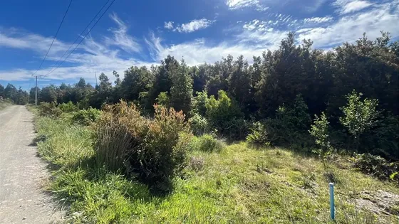 Parcela En Venta En Parcelación Santa Ana Puerto Varas