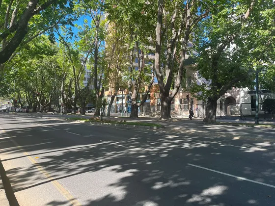 Amplia Propiedad Comercial En Arriendo, Av. Libertad, Viña 
