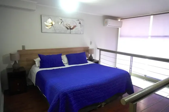 Departamento Tipo Loft En Bellas Artes