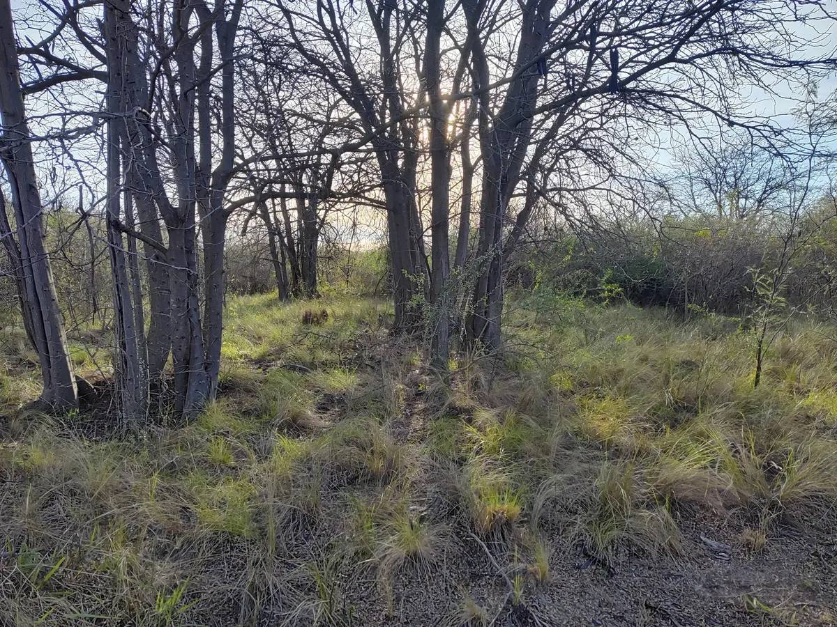 Terreno En Venta  Río Gómez, San Francisco Del Monte De Oro