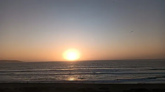 Arriendos Solo Diarios En Laguna Del Mar, Todo El Año.