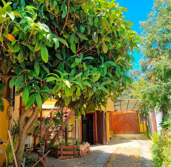 Linda Casa En Mirasol Con Jacussi