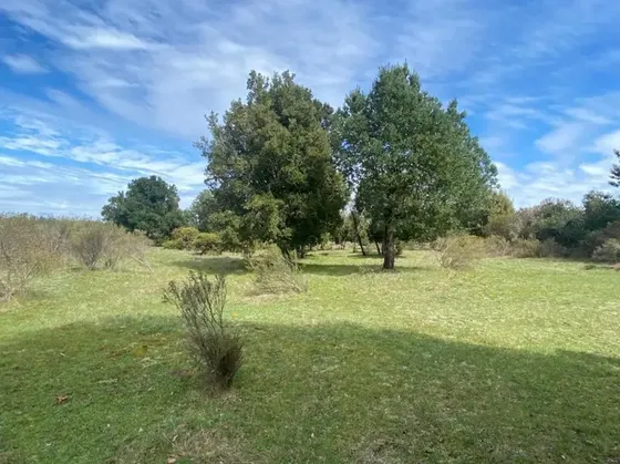 Venta De Parcela Con Laguna Propia Y Orilla De Rio