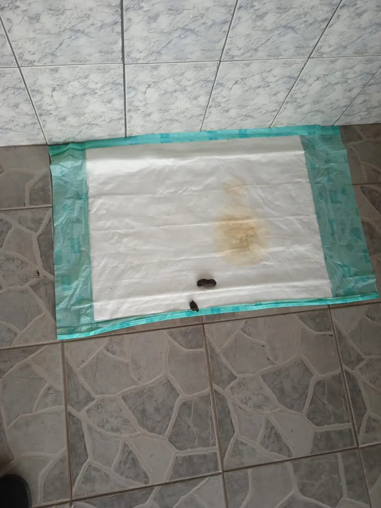 Tapete Higiênico Petix Super Secão 80x60cm Pacote com 30 unidades - Imagem 2