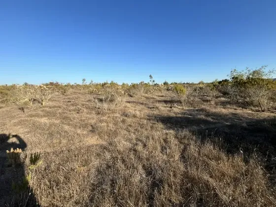 Oportunidad, Parcela Camino Las Dichas Algarrobo