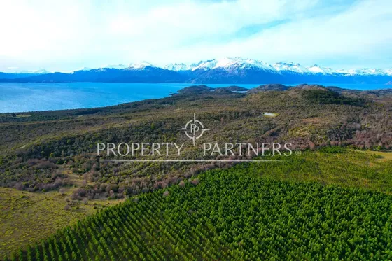 Patagonia, 53ha Campo Cercano A Puerto Guadal