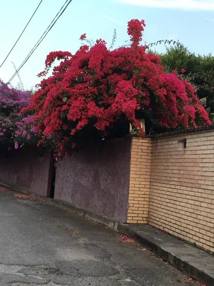 Se Vende Amplia Y Cómoda Casa En El Hatillo