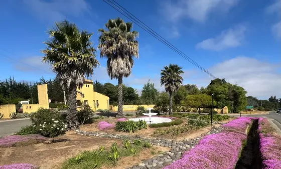 Mejor Condominio De Algarrobo, Agua Potable, Luz,pavimentado