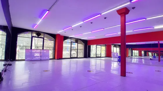 Oportunidad Arriendo Local Comercial En Recolecta 313, Metro