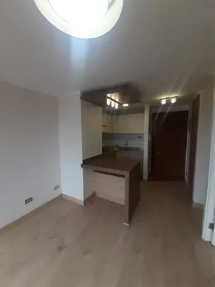 Depto 1  Dormitorio, Freire / Ongolmo 