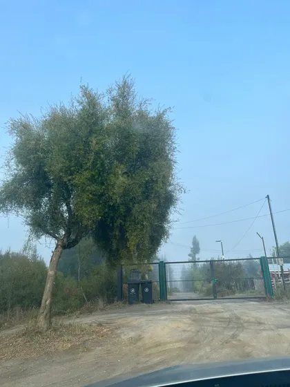 A Orillas De Carretera, Gran Terreno De 6800 M2