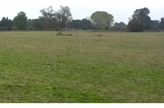 Campo 4,7 Ha En Venta, Purranque - Futillar