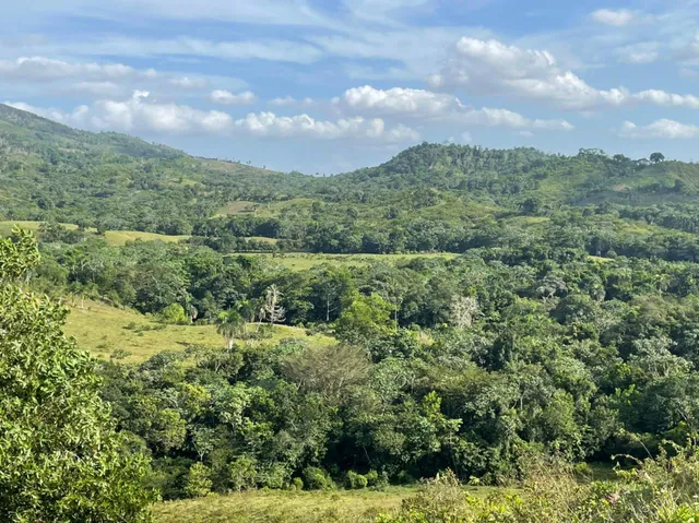 Te Vendo Excelente Finca En Bonao