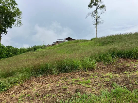Lote En Venta En El Rosario Manizales (279058761).