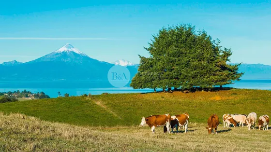 21500 - Parcelas Con Preciosa Vista En Ubicación Estratégic