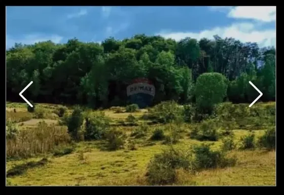 Vendo Parcela En Dalcahue, 0.53 Ha