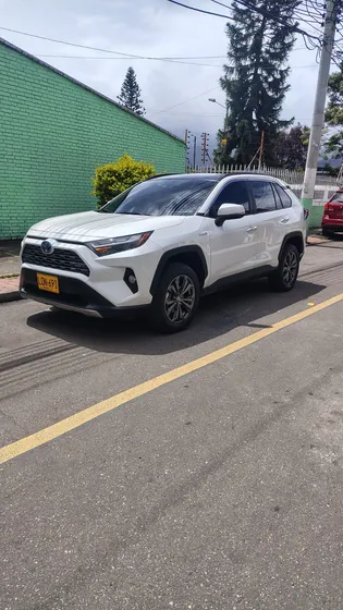 Toyota Rav4 2.5 Limited Hev 4x4 Cvt