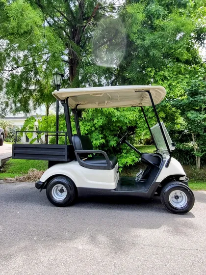 Carro Eléctrico Utilitario Carga Carryall Golf