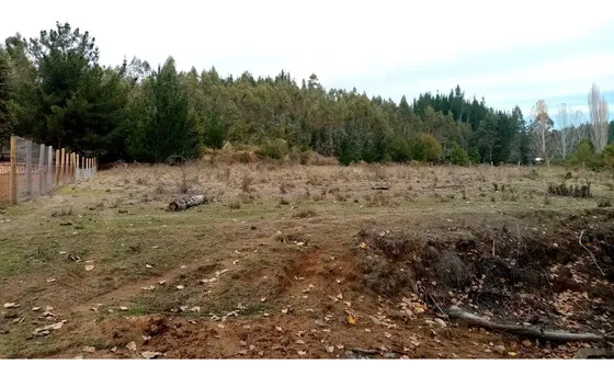 Sitio En Venta Paso Hondo Santa Juana