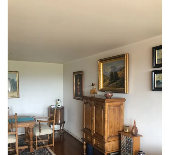 Venta Hermoso Dpto. Excelente Sector Comuna De Ñuñoa