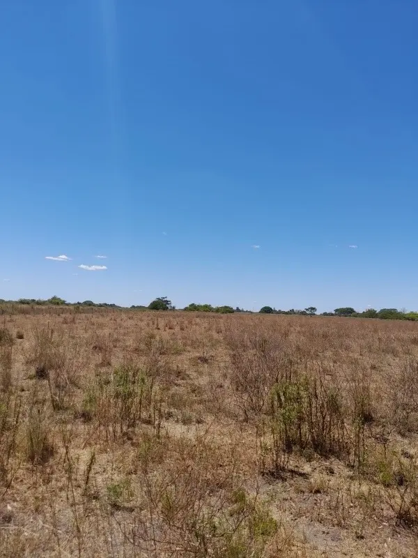 Agricultural and Livestock Farm - on National Route 12 - Corrientes