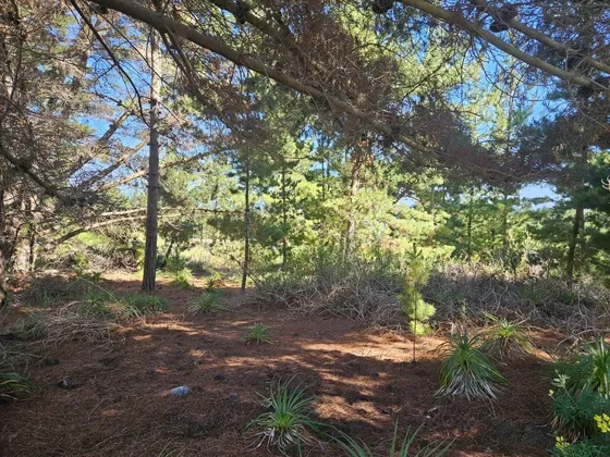 Punta Puertecillo, Terreno Con Vista Al Mar De 5.600 M2. Exc