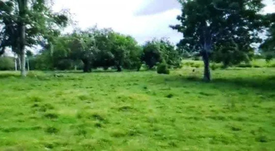 Te Vendo Excelente Propiedad En Puerto Plata 
