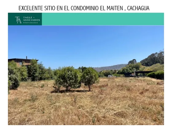 Excelente Sitio En El Condominio El Maitén, Cachagua