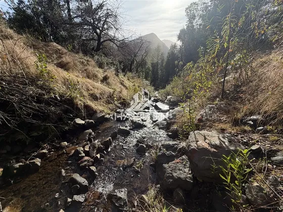 Cod39877 Parcela 60 Ha. Con Agua En Venta Curacalco En Cunco