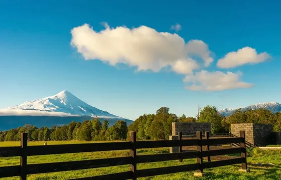 Oferta Parcelas 5000m2, En Puerto Varas Con Vista A Volcanes