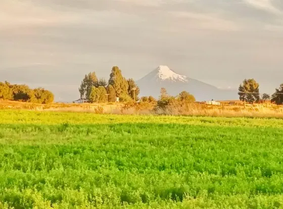 Terreno En Venta En Laderas De Rupanco, Puyehue