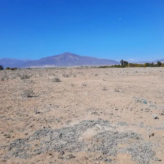 Parcela En Venta En La Higuera