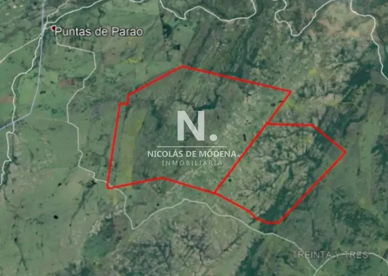 Campo Ganadero En Venta.