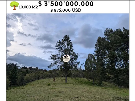 Lote Comercial Cerca Al Aeropuerto José María Cordoba. Lote Comercial A Bordo De Vía Cerca Al Aeropuerto De Medellin. Lote Residencial Y Comercial. Lote Mixto. 