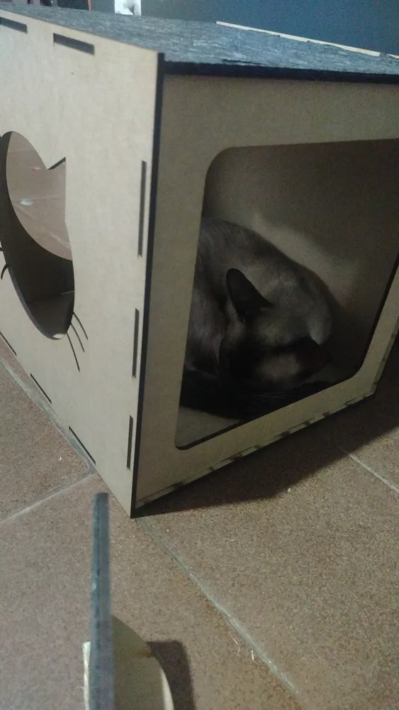 Playground De Gato Box Fan MDF Brinquedo Suspenso 8 Peças Circuito - Imagem 2